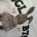 Customer review image