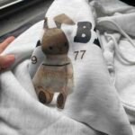 Customer review image