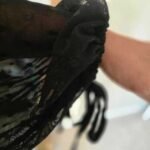 Customer review image