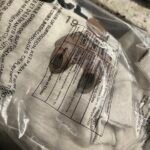 Customer review image