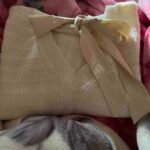 Customer review image